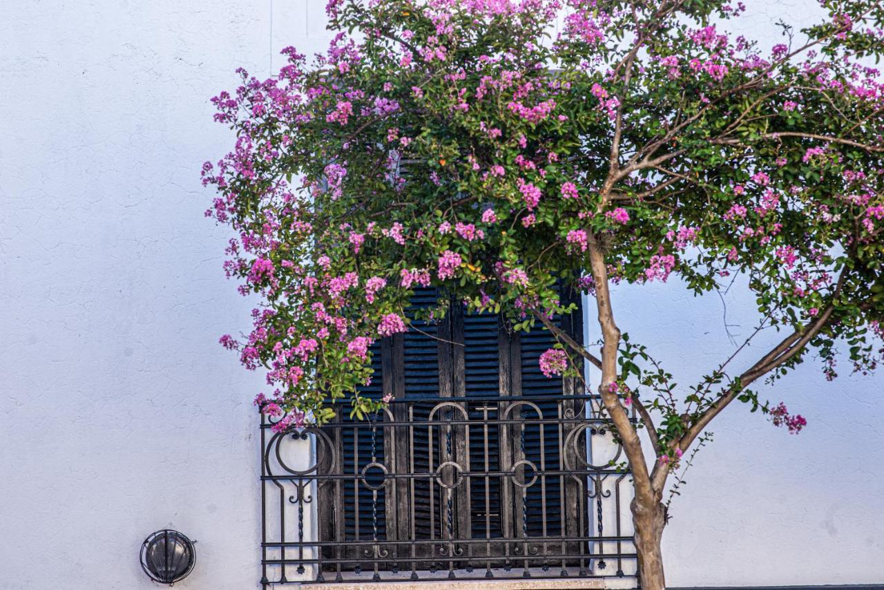 Hostel El Puesto San Antonio de Areco Exterior photo